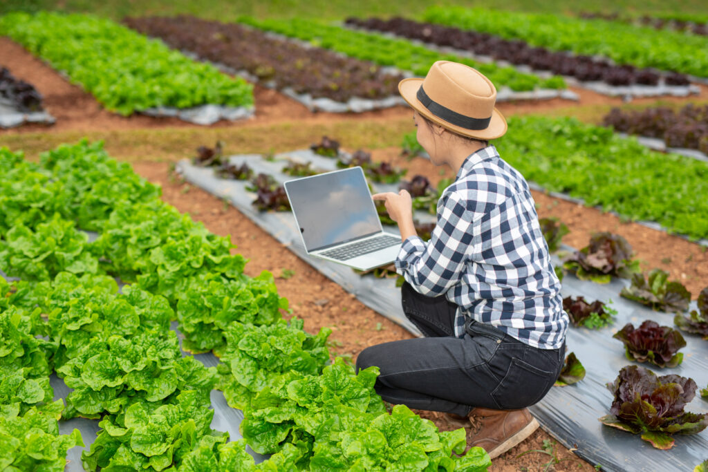 Visita e inspección a clientes del sector agrícola